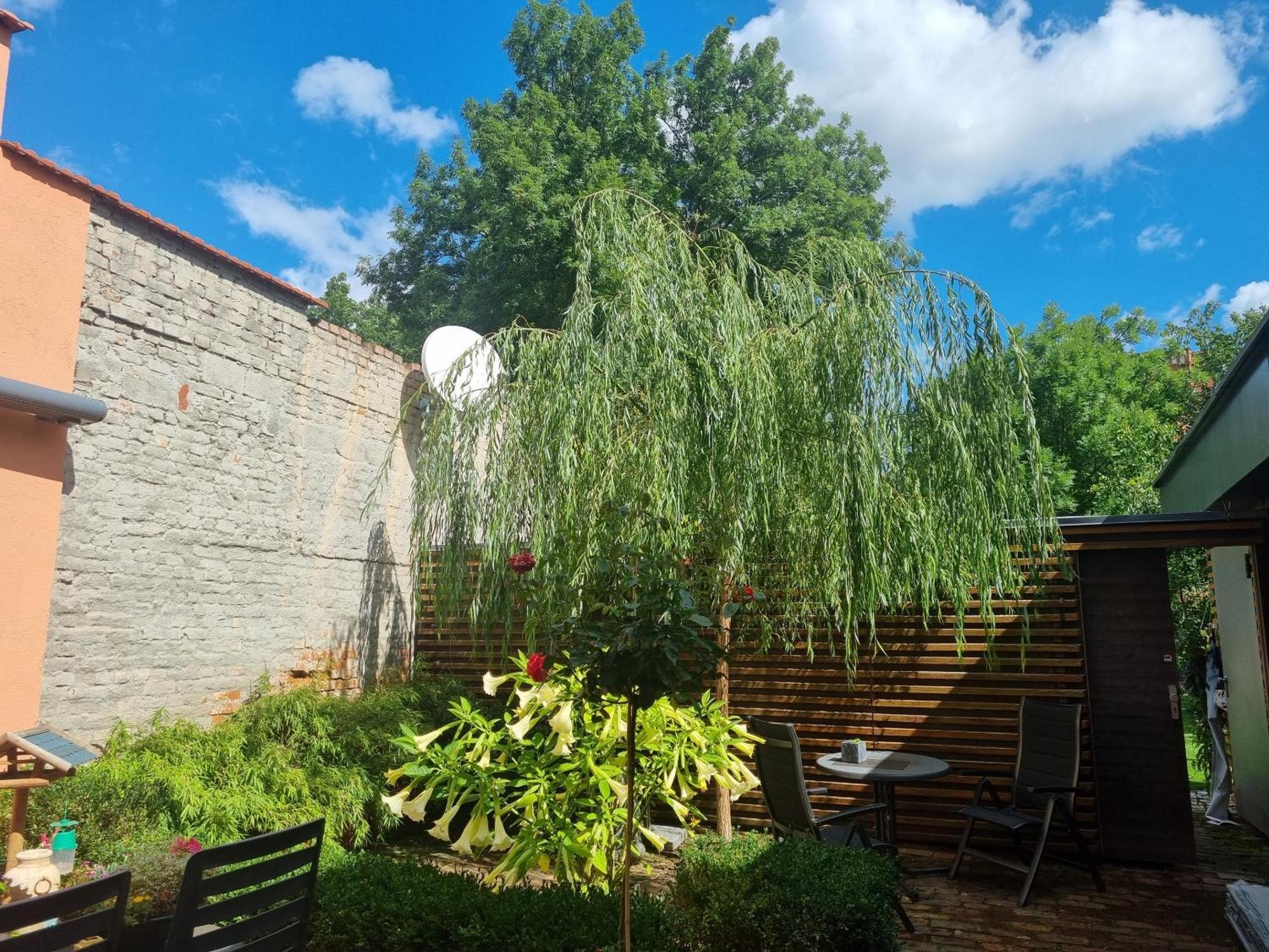 Apartments Junger-Moritz Ερφούρτη Δωμάτιο φωτογραφία